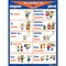 Poster Pals Spanish Verb Posters, Set of 7 P23 - alternate 3